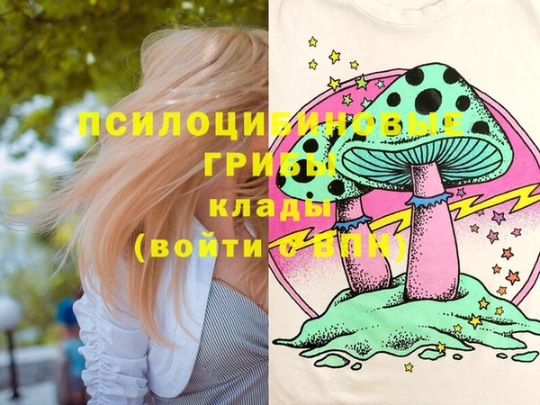 индика Алзамай