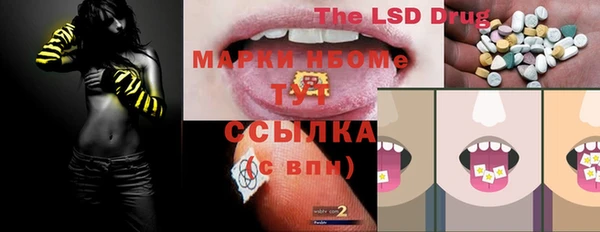 индика Алзамай