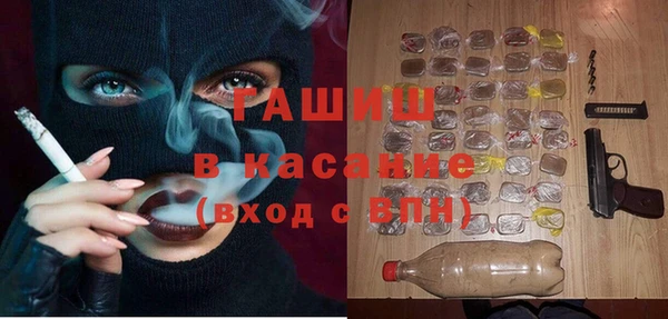 индика Алзамай