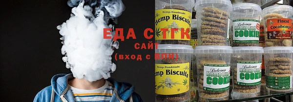 индика Алзамай