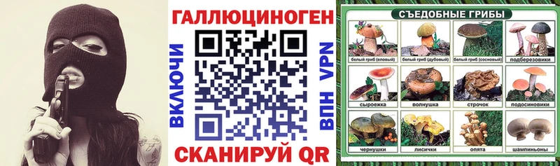 Галлюциногенные грибы Psilocybe  Мураши 